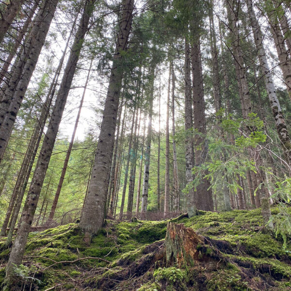 Befit Reise 2021 Dolomiten