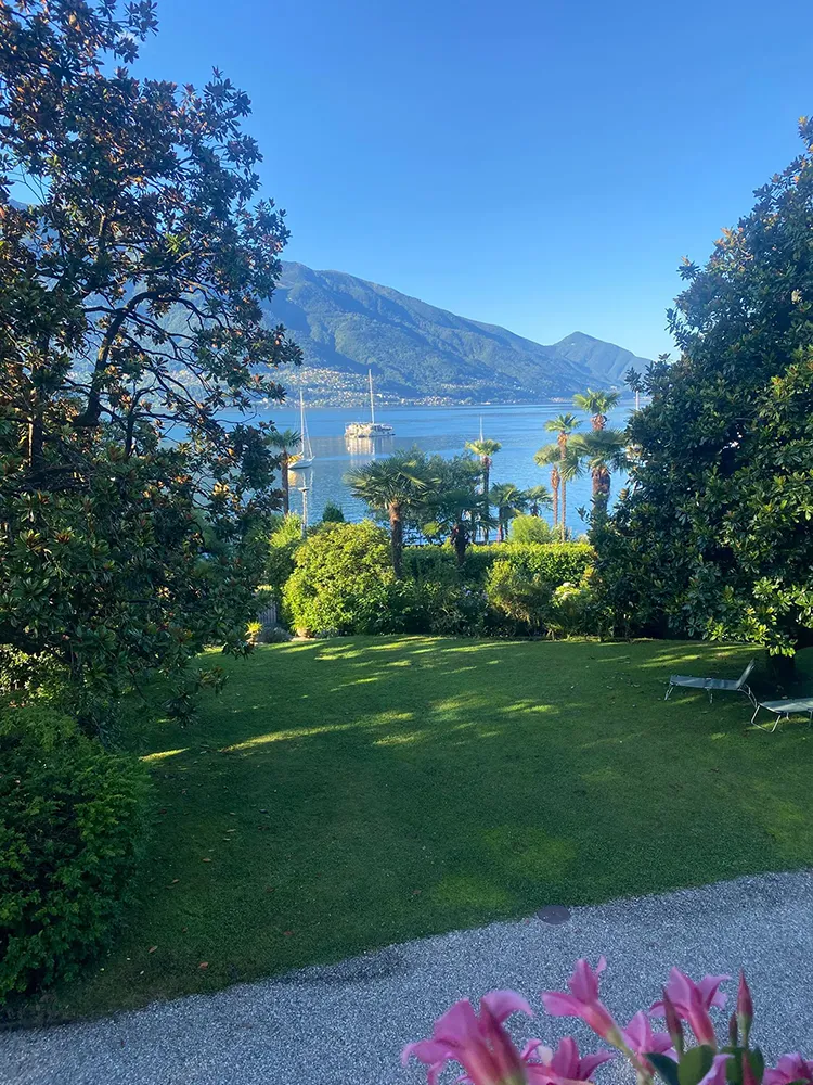 d6488ae5-3a0f-4627-8972-cb83741a9d32